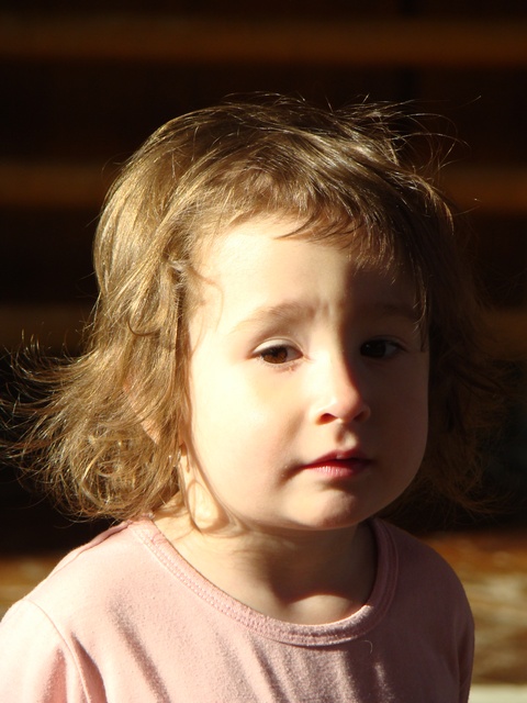 DSC02224