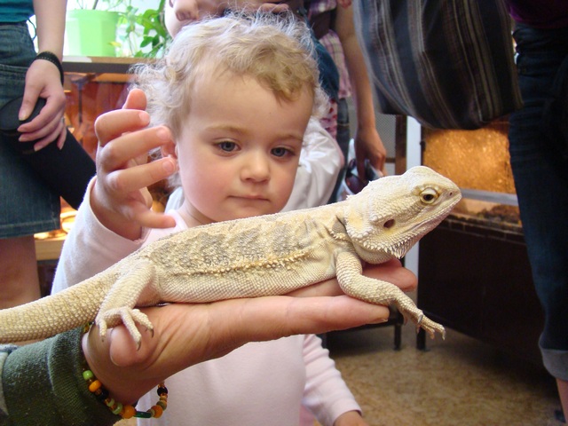 DSC04666