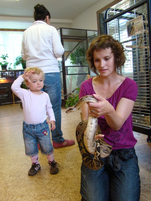 DSC04731