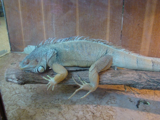 DSC04772