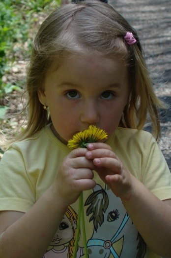 DSC05009